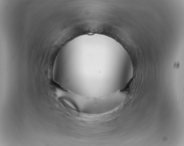 X0000091570039200709101006