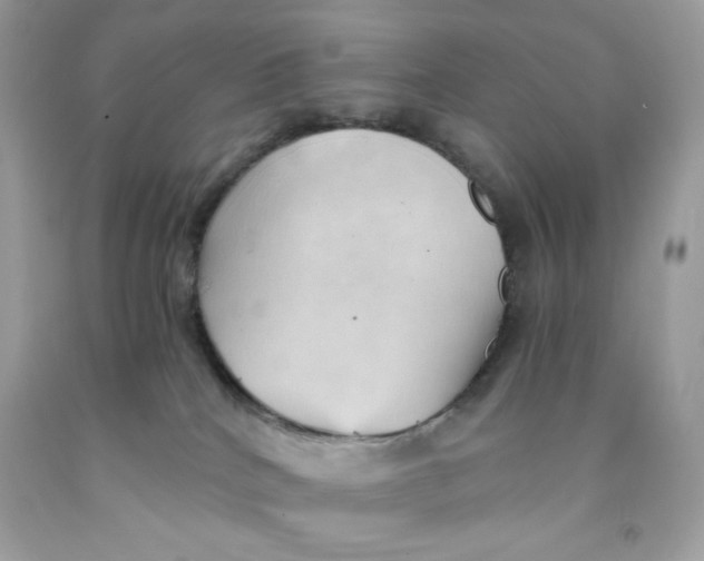 X0000091570040200709101006