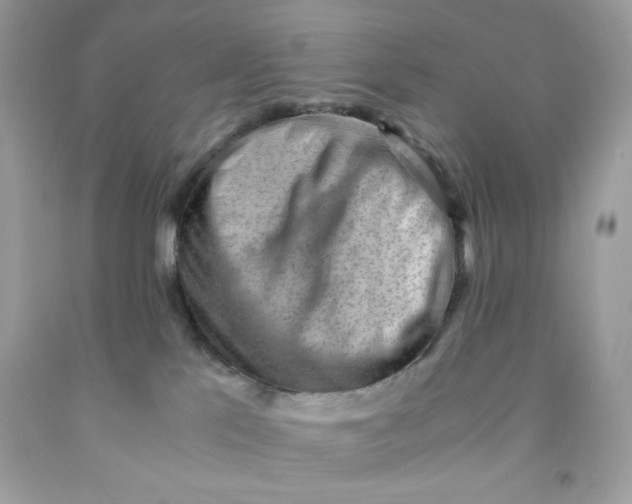 X0000091570041200709101006