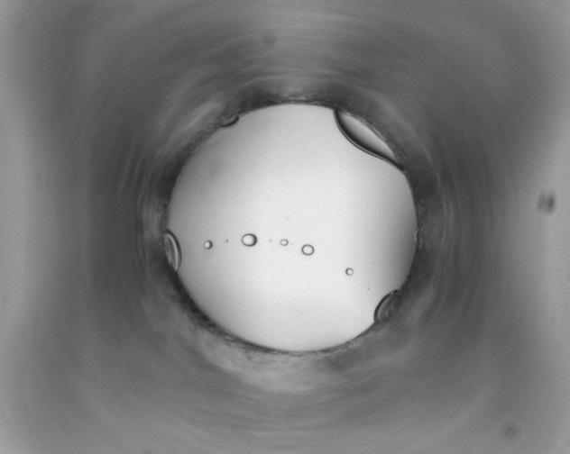 X0000091570044200709101006