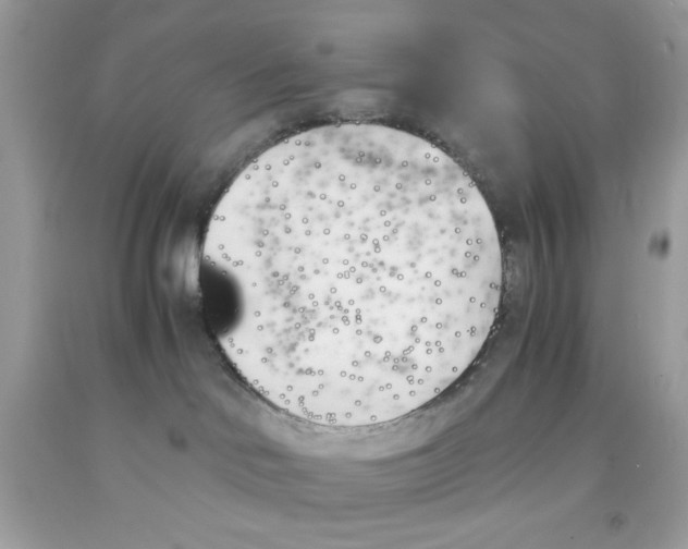 X0000091570046200709101006