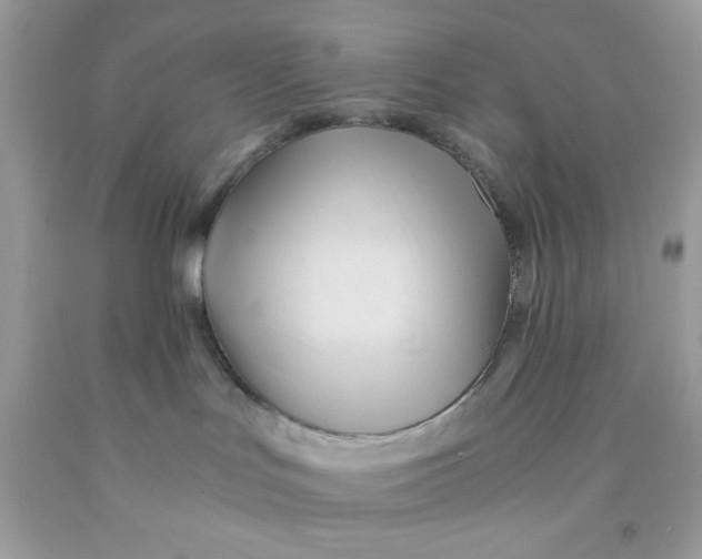 X0000091570047200709101006