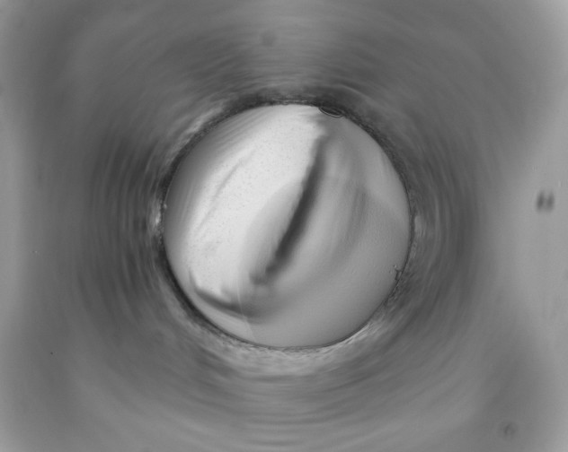 X0000091570048200709101006