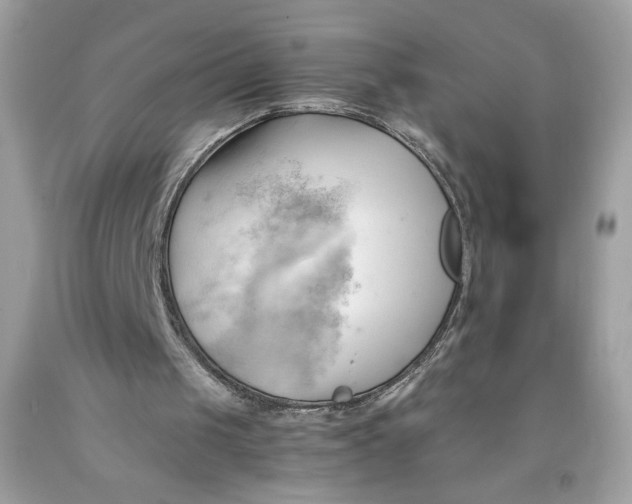 X0000091570049200709101005