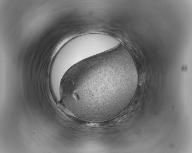 X0000091570052200709101005