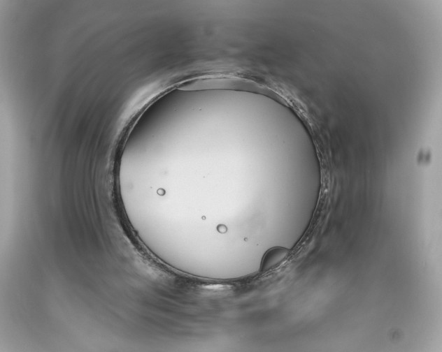 X0000091570053200709101005