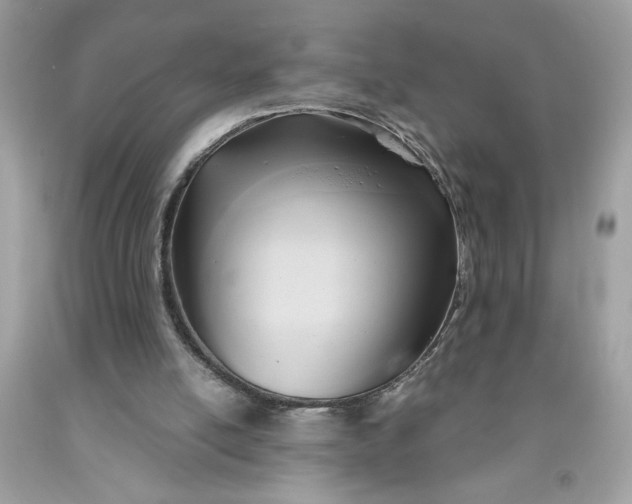 X0000091570054200709101005