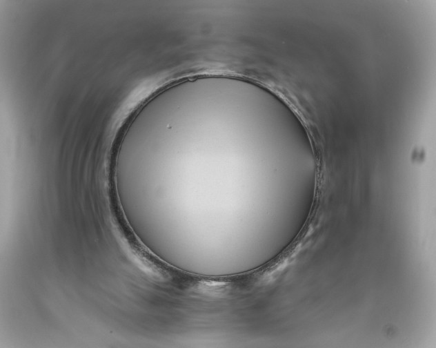 X0000091570055200709101005