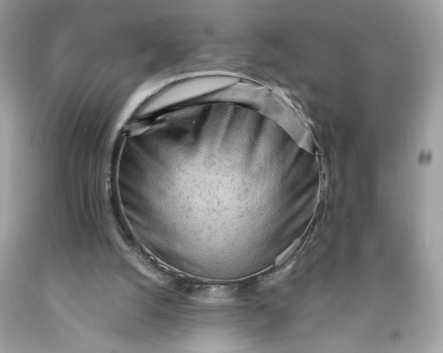 X0000091570056200709101005