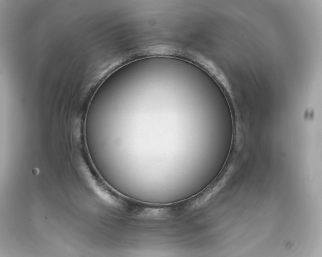 X0000091570057200709101005