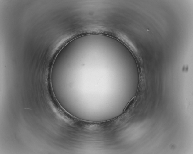 X0000091570058200709101005