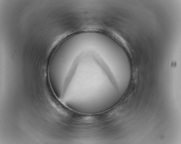 X0000091570059200709101005