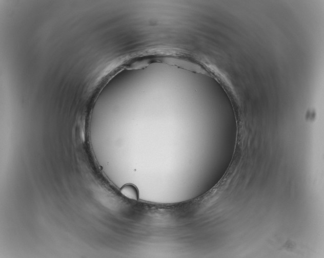 X0000091570062200709101005