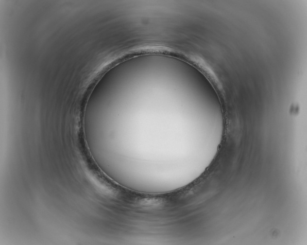 X0000091570063200709101005