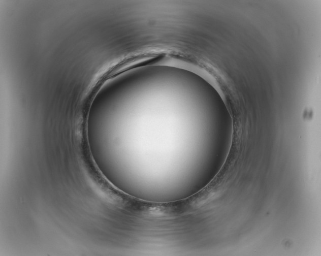 X0000091570064200709101005