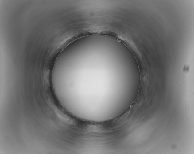 X0000091570066200709101005