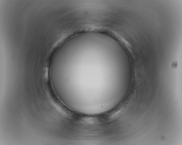 X0000091570067200709101005