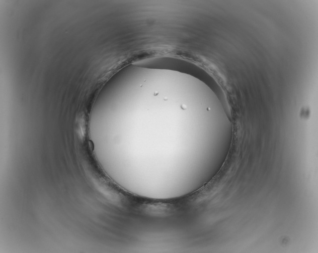 X0000091570069200709101005