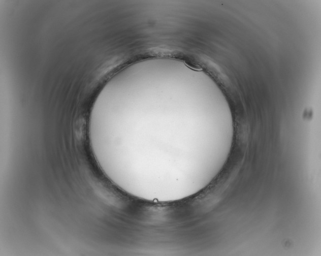 X0000091570071200709101005