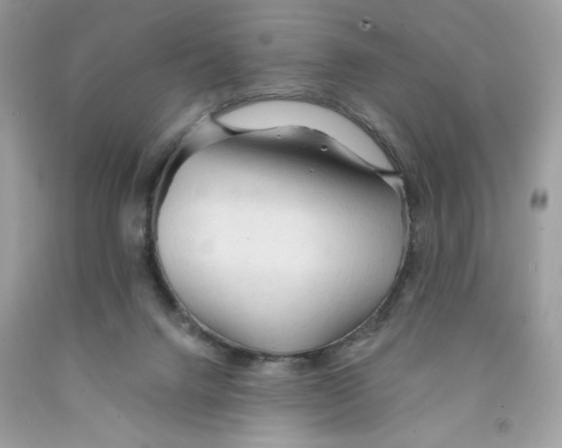 X0000091570072200709101005