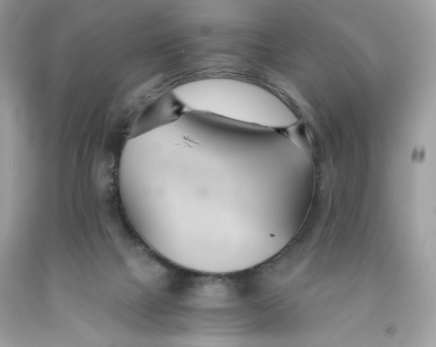 X0000091570073200709101005