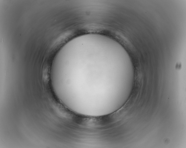 X0000091570074200709101005