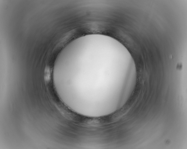 X0000091570075200709101005