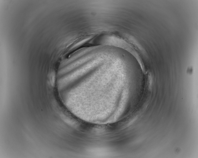 X0000091570076200709101006