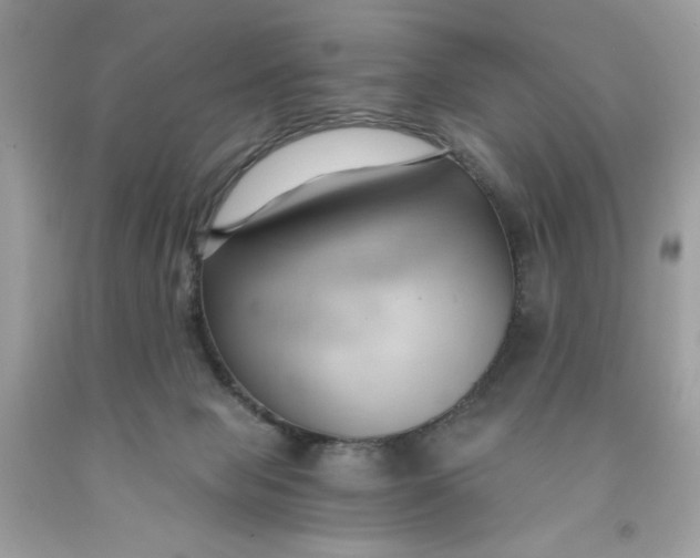 X0000091570077200709101006