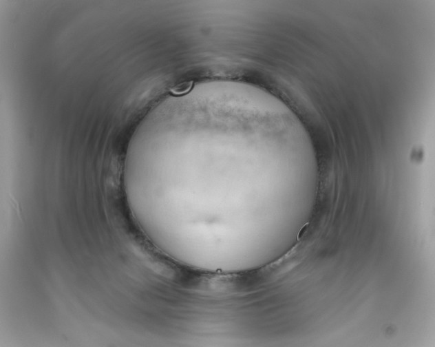 X0000091570078200709101006