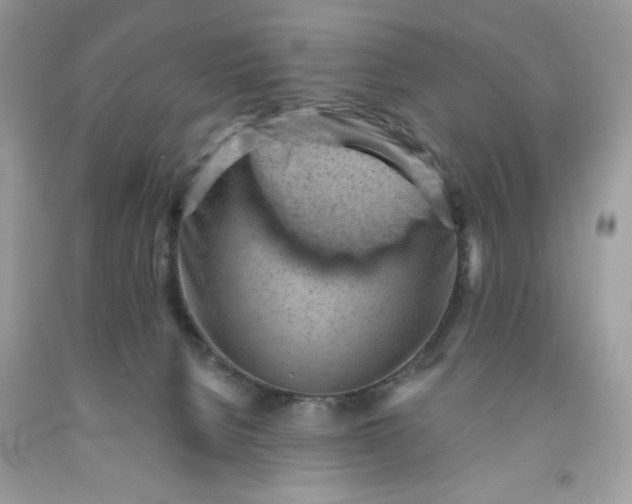 X0000091570080200709101006