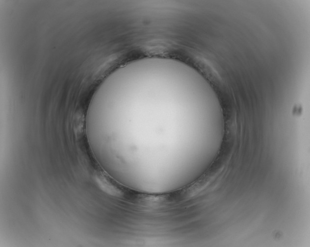 X0000091570081200709101006