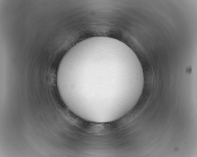 X0000091570083200709101006