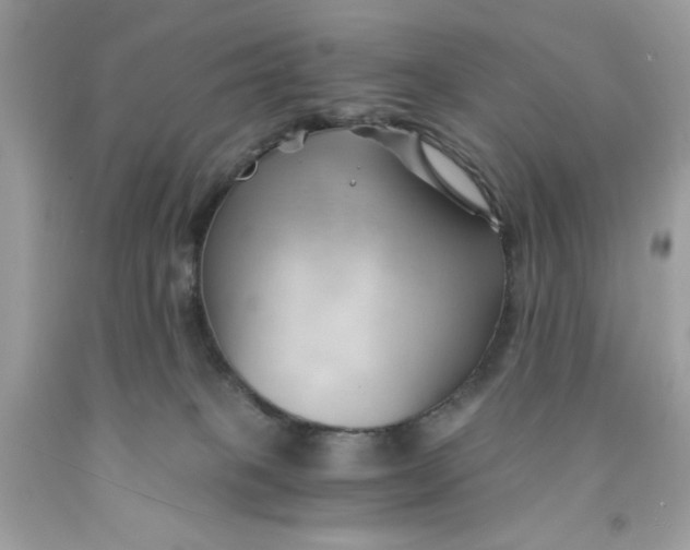 X0000091570085200709101006