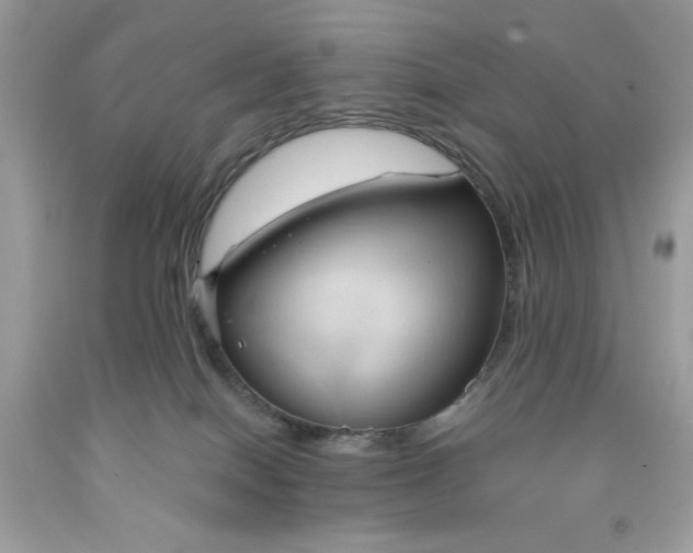 X0000091570086200709101006