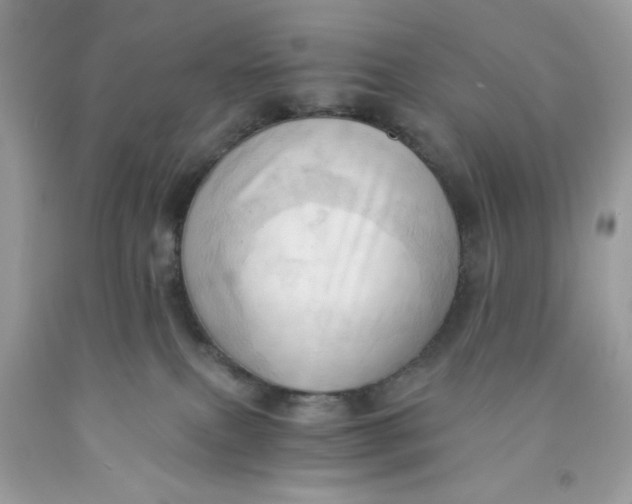 X0000091570087200709101006