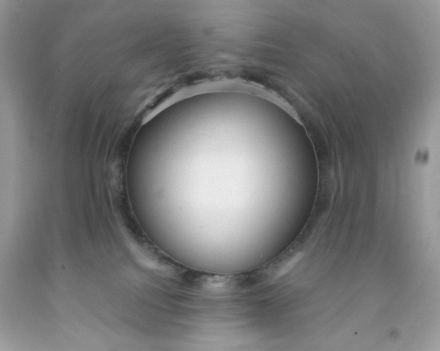 X0000091570088200709101006