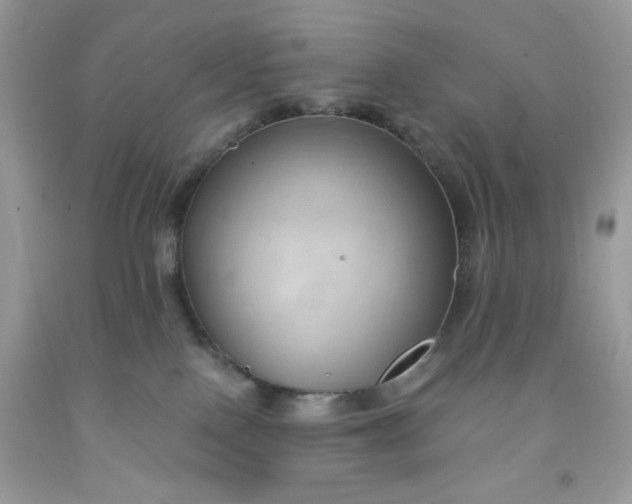 X0000091570090200709101006