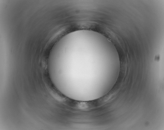 X0000091570091200709101006