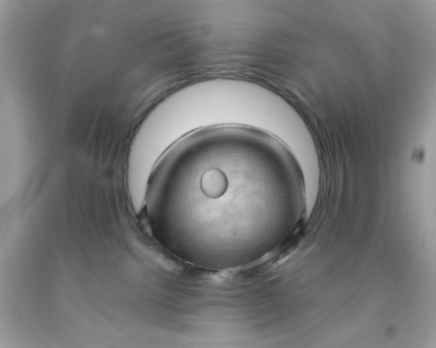 X0000091570092200709101006