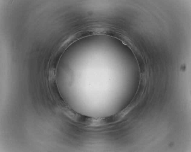 X0000091570093200709101006