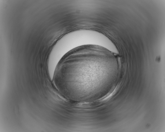 X0000091570094200709101006