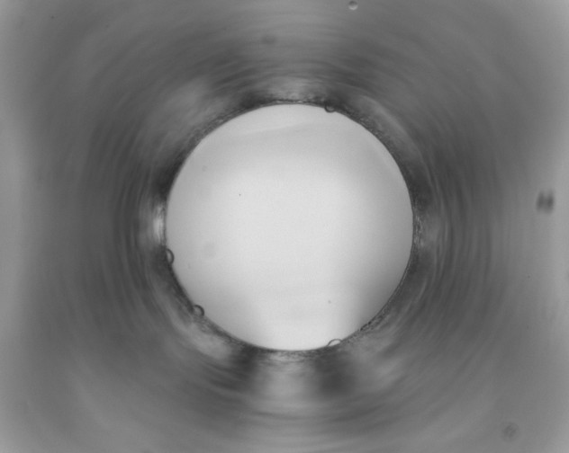 X0000091570095200709101006