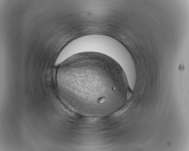 X0000091570096200709101006