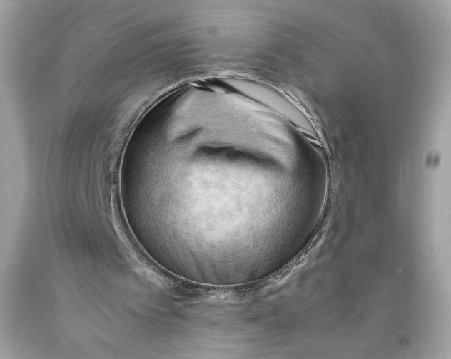 X0000091570097200709101005