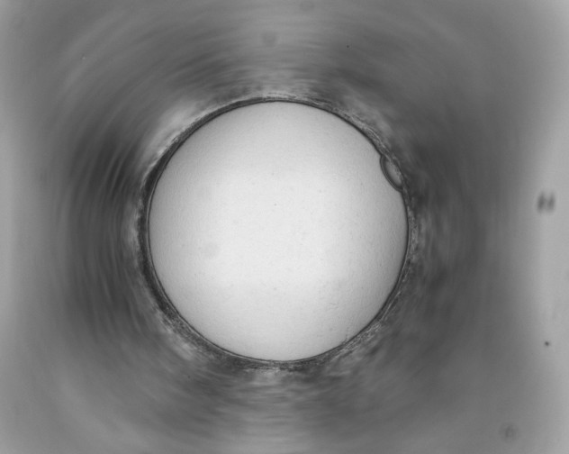 X0000091570098200709101005