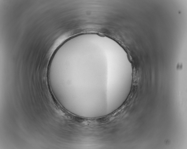 X0000091570099200709101005