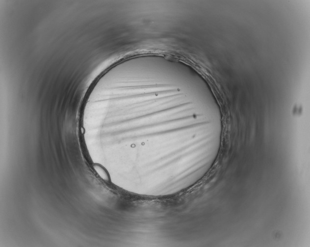 X0000091570100200709101005