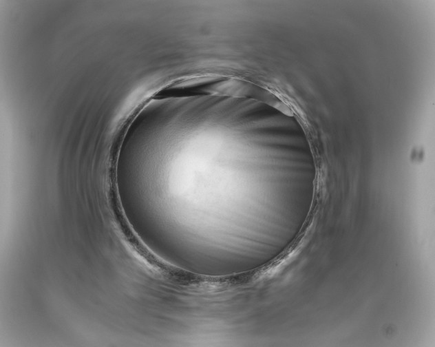 X0000091570101200709101005