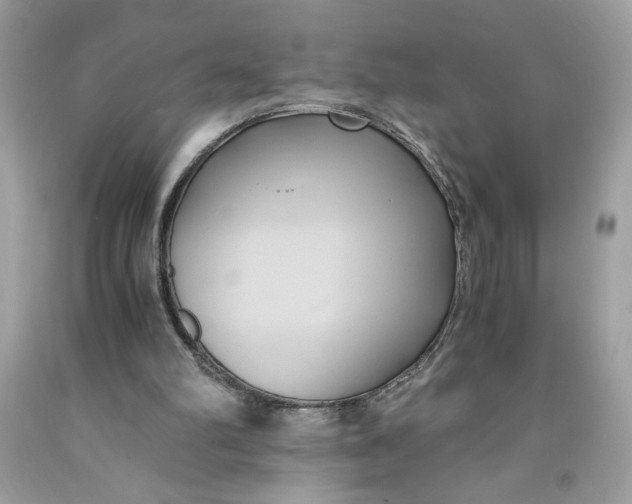 X0000091570102200709101005